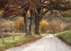 Gravel Road II Art Print