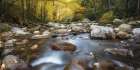 Down Stream I Art Print