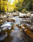 Down Stream II Art Print