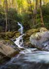 Mouse Creek III Art Print