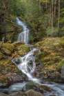 Mouse Creek Art Print