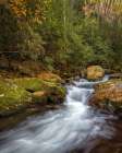Headwaters Art Print