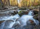 Magic of Greenbrier I Art Print