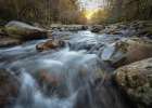 Magic of Greenbrier II Art Print