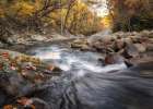 Greenbrier Downstream Art Print
