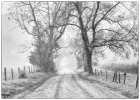 Sparks Lane Classic Art Print