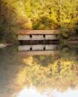 Autumn at Green Mountain Art Print