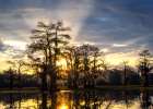 Deep South Sunrise Art Print