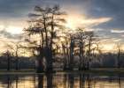 Bayou Sunrise III Art Print