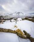 Straw and Snow Landscape Print