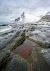 Artic Beach III Art Print
