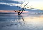 Lone Survivor I Landscape Print
