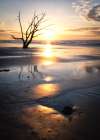 Sunrise Glow II Art Print