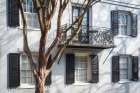 Southern Charm II Landscape Print
