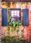 Window Box Art Print