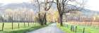 Sparks Lane Panorama Art Print