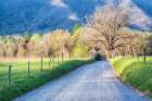 Sunny Hyat Lane Coastal Print