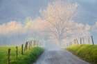 A Spring Morning Art Print