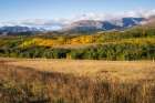 Foothills Art Print