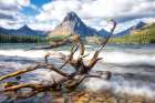 Gusting Winds Art Print