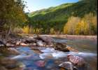 Montana Autumn Art Print