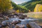 Montana Morning Art Print