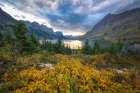 Wild Goose Island I Art Print