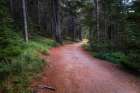 Inviting Trail Art Print