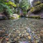 Clear Water I Art Print