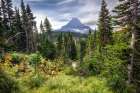 Chief Mountain Art Print