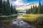Moose Marsh I Art Print
