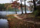 Lake Walk I Art Print