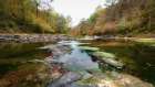 Down Stream Art Print