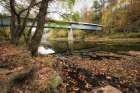 Locust Fork Art Print
