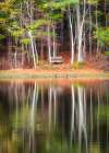 Still Waters Art Print