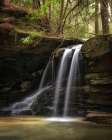 Wilderness falls III Art Print