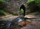Gothic Arch Art Print
