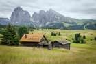 Alpine Meadow I Art Print
