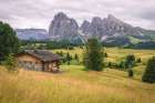 Alpine Meadow II Art Print
