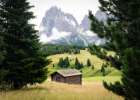 Alpine Meadow III Art Print