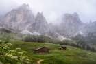 Alpine Mist Art Print