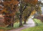 Autumn Cove II Art Print