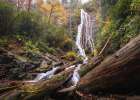 Mingo Falls I Art Print