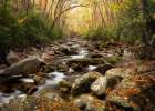 Low Flow I Art Print