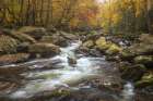 Upper Greenbrier I Art Print