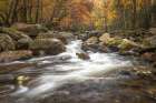 Upper Greenbrier II Art Print