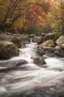 Upper Greenbrier III Art Print