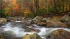 Upper Greenbrier IV Art Print