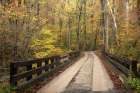 Woodland Bridge Art Print