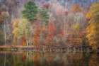 Colors of Autumn Art Print